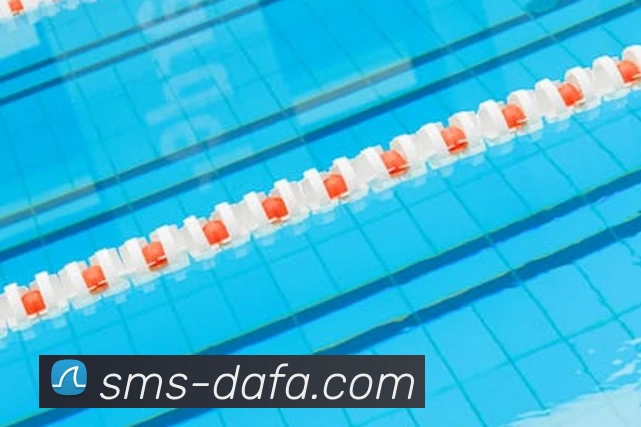 大发彩票服务体系